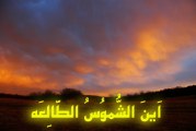 امام مهدي (عجل الله تعالي فرجه) در غدير