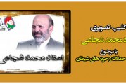 کلیپ تصویری استاد محمد شجاعی-شناخت حملات و حربه های شیطان