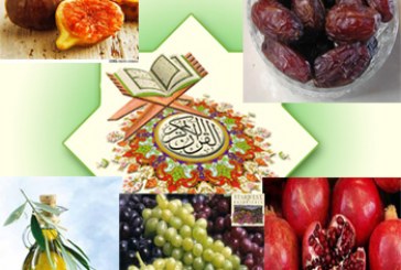 کدام “میوه” ها نامشان در “قرآن” آمده است؟