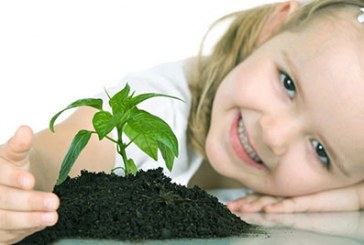 اسلام و تربيت فرزند