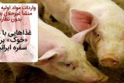 به کجا میرویم! غذاهایی با منشأ «خوک» بر سر سفره ایرانیان